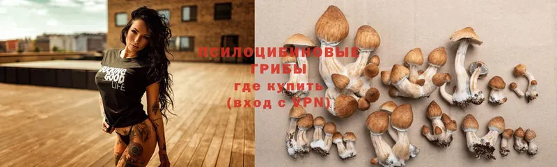 купить наркотики сайты  Апшеронск  Галлюциногенные грибы Magic Shrooms 